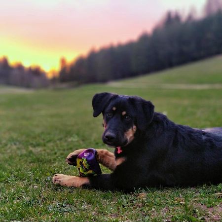 Eha Farmstay Rõuge Kültér fotó