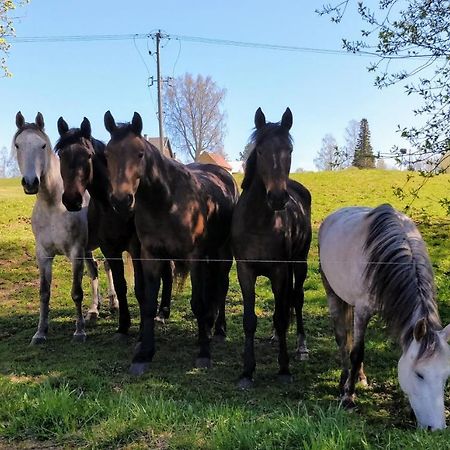 Eha Farmstay Rõuge Kültér fotó